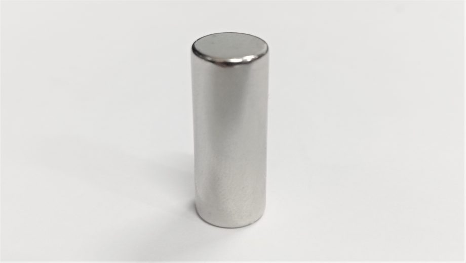 RARE EARTH D10 x 25  N42 GRADE