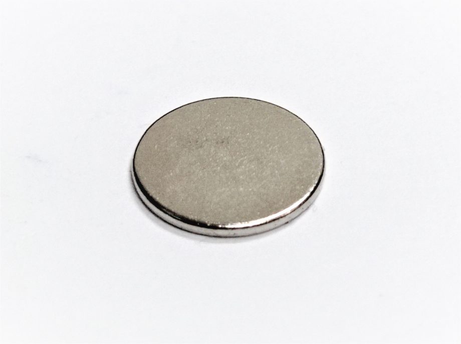 RARE EARTH D12 x 1  N42 GRADE