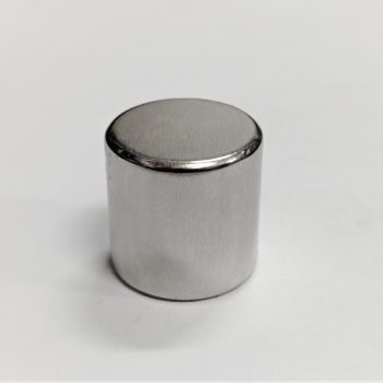 RARE EARTH D20 x 20  N42 GRADE