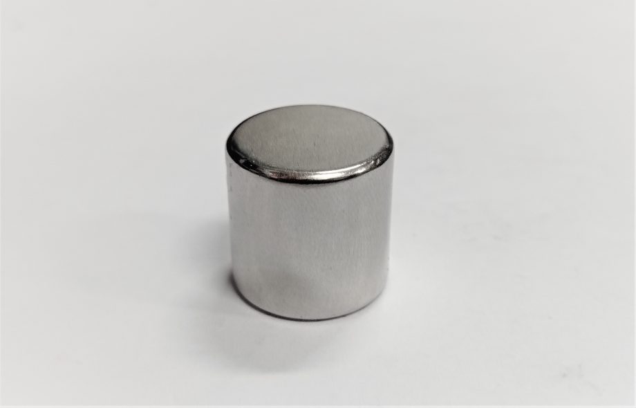 RARE EARTH D20 x 20  N42 GRADE
