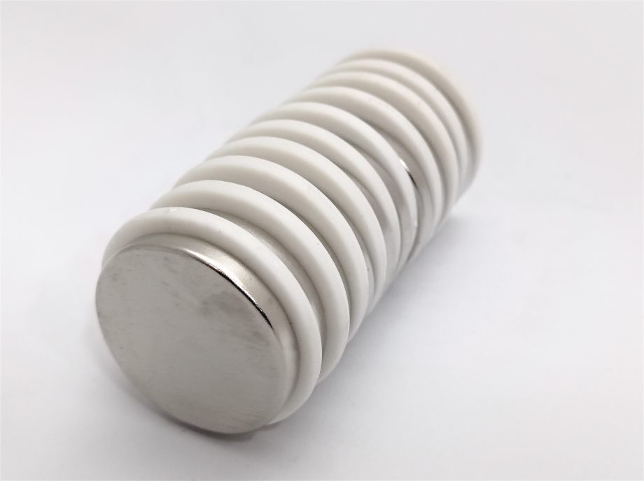 Rare Earth Disc D35 x 5  N52