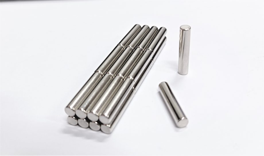 RARE EARTH D4 x 20   N42 GRADE