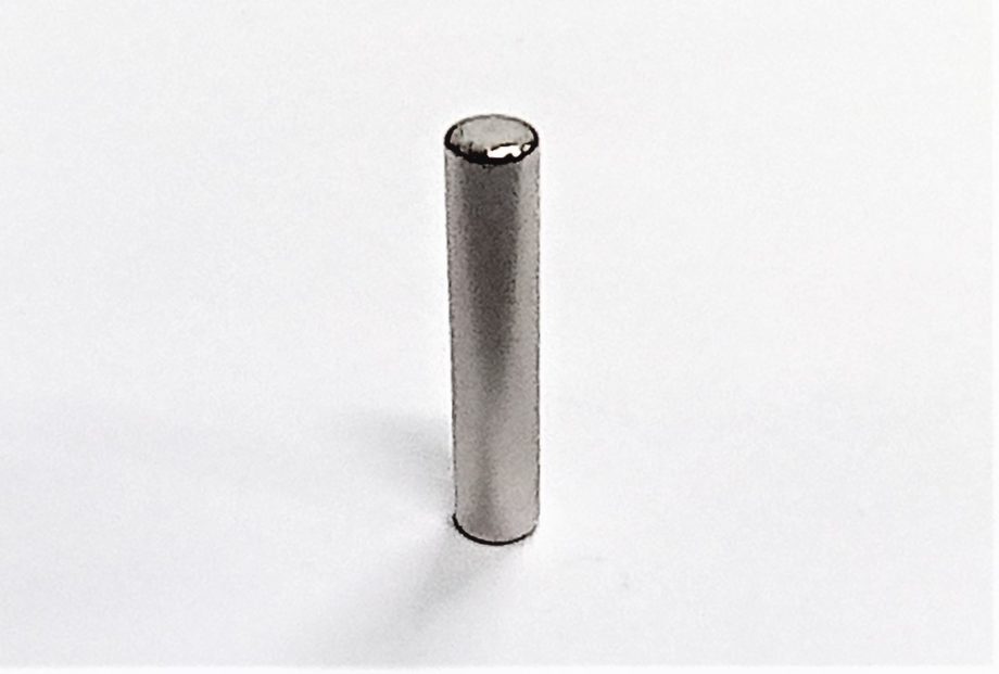 RARE EARTH D4 x 20   N42 GRADE