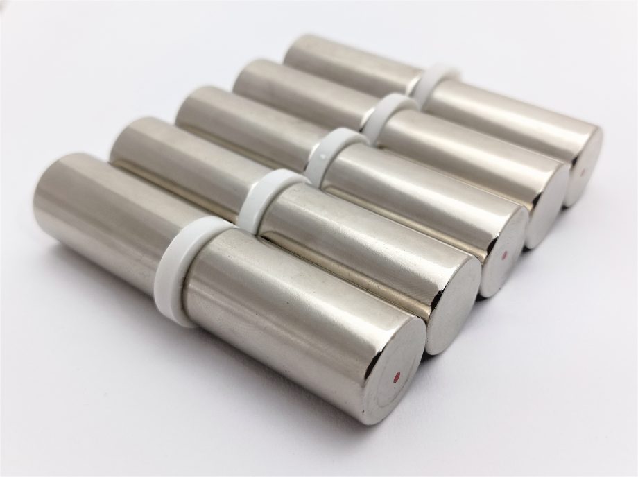 RARE EARTH D19 x 38  N42 GRADE