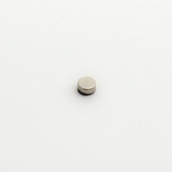 RARE EARTH D2 x 1   N42