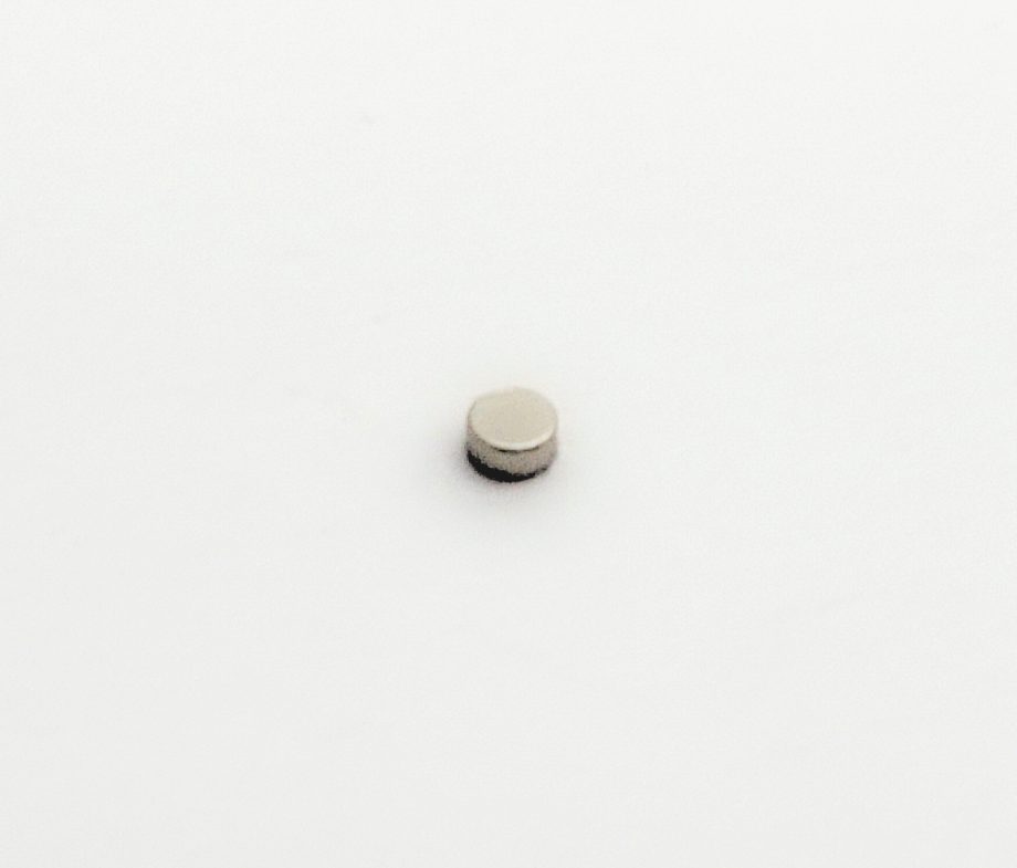 RARE EARTH D2 x 1   N42