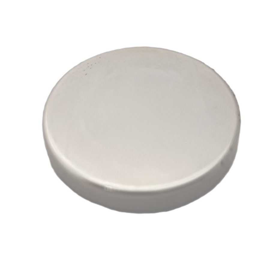 RARE EARTH D30 x 5 N42 GRADE